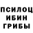 Псилоцибиновые грибы Magic Shrooms zashiki varashi