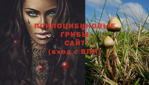гидра Михайлов