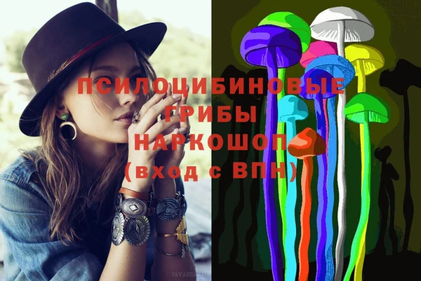 гидра Михайлов