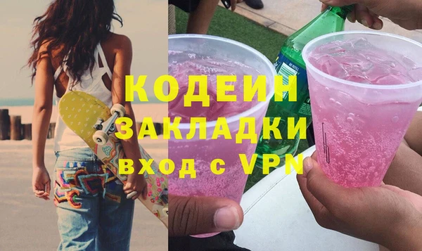 прущие грибы Анжеро-Судженск