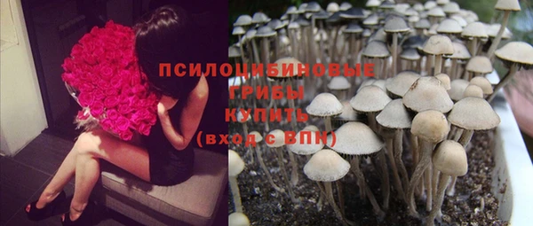 стафф Навашино