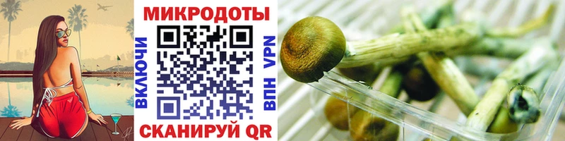 Псилоцибиновые грибы Magic Shrooms  Астрахань 