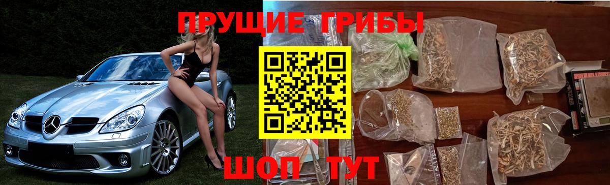 Галлюциногенные грибы мухоморы Астрахань