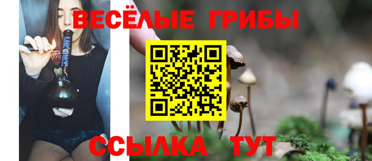 Астрахань  Псилоцибиновые грибы Psilocybe  Галлюциногенные грибы Psilocybe  Вход с VPN 