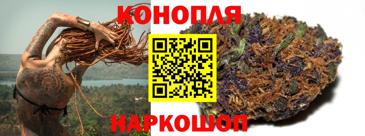 Каннабис план Астрахань